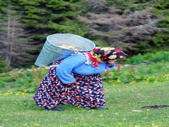 CEVDET ŞAHIN - Karadeniz’in Coğrafi Yapısı Fiziki Hastalıkları Tetikliyor (özel)