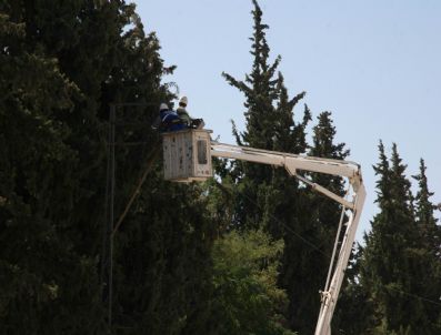 NARLıCA - Tedaş Bakım ve Onarım Çalışmalarını Sürdürüyor