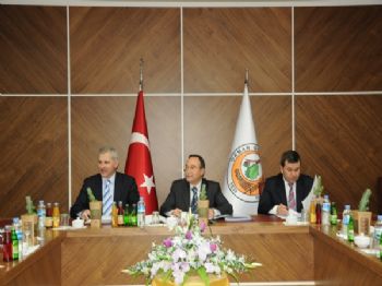 İSMAIL DEMIRHAN - Bursa'da 'ağaç Bayramı' Heyecanı