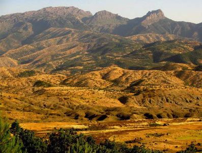 CUDI DAĞı - Valilik yaptığı açıklamada operasyon olmadığını belirtti