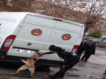 GÜRBULAK - Dedektör Köpekler Sınır Kapılarında Kaçakçılara Geçit Vermeyecek
