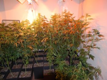 YASEMIN KOZANOĞLU - Ünlü İsimlerin Gözaltına Alındığı Uyuşturucu Operasyonu Polis Kamerasında