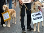 Aydın’da Yüzlerce Kişi Hayvan Hakları İçin Yürüdü
