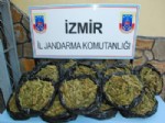 İzmir'de Esrar Operasyonu