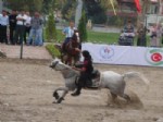 MEDENİYETLER İTTİFAKI - Geleneksel Sporlar Festivali Denizli’de Ciritle Başladı