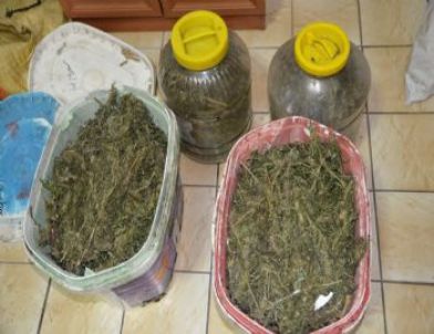 Turşu Bidonlarında Esrar Ele Geçirildi