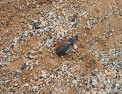 Tunceli'deki Sivil Araca Saldırının Ardından