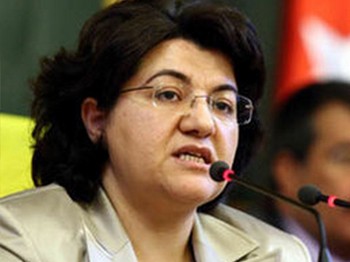 BDP Mardin Milletvekili Emine Ayna Açıklama Yaptı