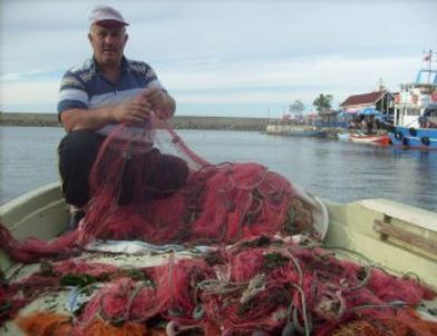 Palamut Gitti Küçük Balıkçı Bitti