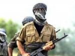 UZUNTARLA - PKK'lıların yuvalandıkları alan ateş altında