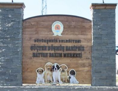 Hayvan Severler, Hayvan Bakım Merkezi’ni Gezdi