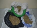 Aydın'da 3 Kilo 500 Gram Esrar Ele Geçirildi