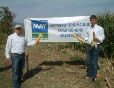Burhaniye’de İkinci Ürün Silajlık Mısır İçin Tarla Günü Düzenlendi