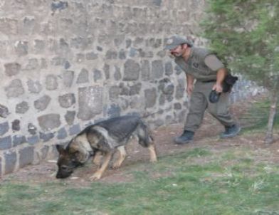 Diyarbakır’da Huzur Operasyonu