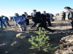 NEVZAT BOZKUŞ - Kars’ta 2 Bin Fidan Toprak Buluştu