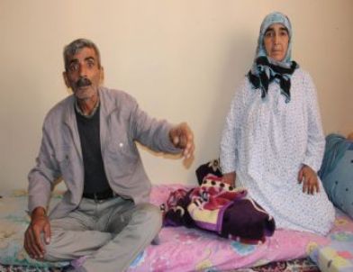 Kazan Vadisi'nde Yaralanan Kadın Dehşet Anlarını Anlattı