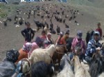 DURANKAYA - Yayla Sakinlerinin Geri Dönüşü Başladı