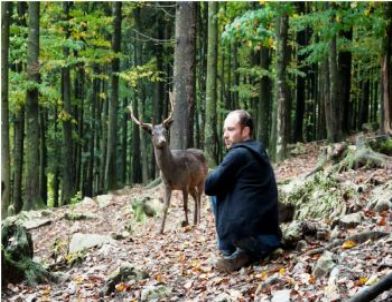 Turuncu Filmler Altın Portakal’da