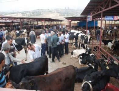 Bayramda Kalpazan Mağduru Olmayın