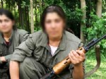 ROJİN - PKK'lı Kadın Yöneticinin Öldürüldüğü Ortaya Çıktı