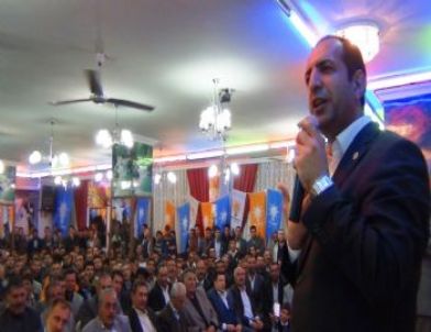 Erciş Ak Parti Gençlik Kolları İstişare Toplantısı Yapıldı