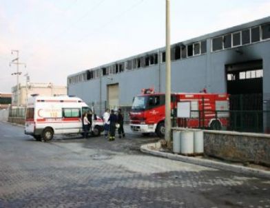 İzmir’de Fabrika Yangını Korkuttu