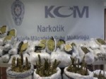 Narkotik Polisinden Bayram Öncesi Uyuşturucu Satıcılarına Büyük Darbe