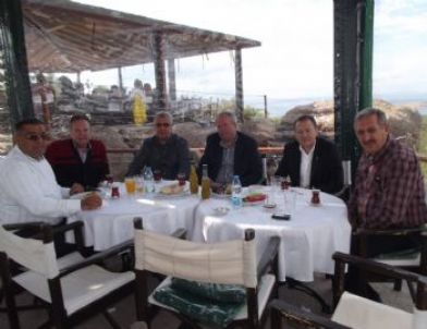 Zeytin, Barışı Getirdi