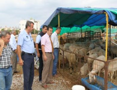 Didim’de İlçe Tarım Müdürlüğü Ekipleri Kurban Denetimlerini Sürdürüyor