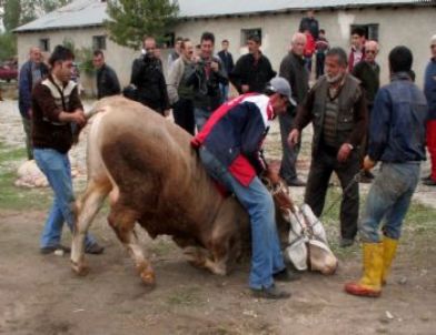 Erzincan’da Kurban Manzaraları