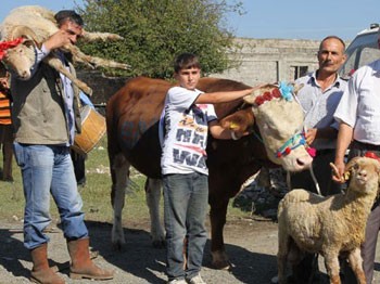 İlk günün bilançosu: 3 binin üzerinde yaralı