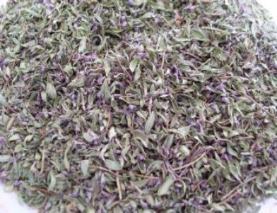 Türkiye Tıbbi ve Aromatik Bitki Cenneti