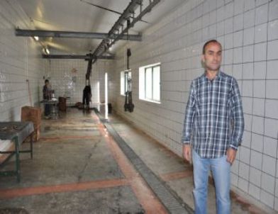 Belediye Mezbahası’nda 52 Kurbanlık Kesildi