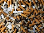 LUGANO - 'Sigara 21'inci yüzyılda 1 milyar can alacak'