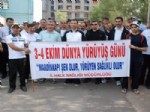 HÜSNÜ KANSıZ - Diyarbakır’da Dünya Yürüyüş Günü Etkinlikleri
