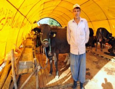 Kepez’de Kurban Satış Pazarı Kuruldu