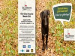 BOLLUCA - Şişli'de 4 Ekim Dünya Hayvanları Koruma Günü Etkinliği