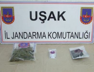 Jandarma Kaçakçılara Göz Açtırmıyor