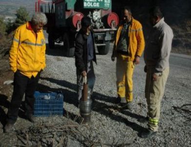 Spil Dağı'ndaki Yangının Ardından