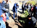 NEVZAT BOZKUŞ - Kars Kent Ormanı’nda Çam Fidanları Toprakla Buluştu