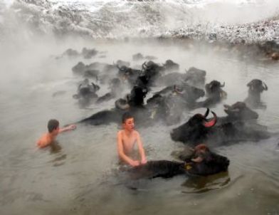 Fotoğraf Sanatçısı Özkan Olcay Türkiye 3’ncü Oldu
