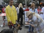 BOLLUCA - Şişli Belediyesi, Ormanlarda Yaşayan Hayvanları Unutmadı