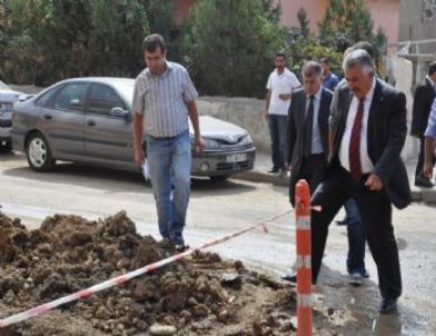 Başkan Sadak, Doğalgaz Çalışmalarını Denetledi