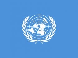 BM Güvenlik Konseyi'nden Suriye'ye kınama