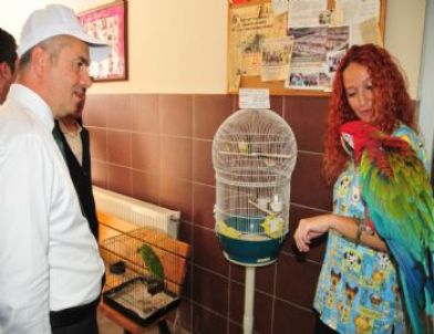 Öğrencilerin İlgisi Hayvanları Neşelendirdi