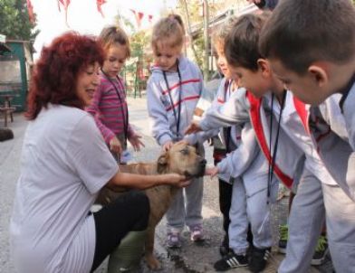 “Puki” İsimli Sakat Köpek Miniklerin Sevgilisi Oldu