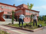 AHMET HAMDI AKPıNAR - Kargı Kaymakamlığı Bahçesi Ağaçlandırıldı