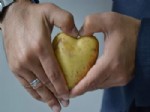 HASAN YıLDıZ - Kalp Şeklindeki Patates Görenleri Şaşırtıyor