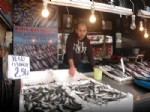 BALIKÇI ESNAFI - Balıklar Tezgahlarda Kaldı