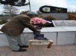FARUK GÜNAY - Behiç Erkin Eskişehir'deki Anıt Mezarı Başında Anıldı